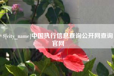 东阳中国执行信息查询公开网查询官网
