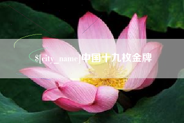 东阳中国十九枚金牌