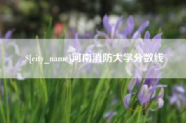 东阳河南消防大学分数线