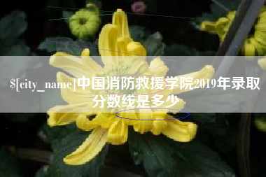 东阳中国消防救援学院2019年录取分数线是多少