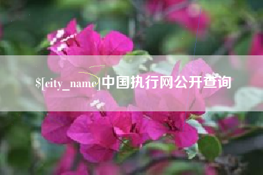 东阳中国执行网公开查询