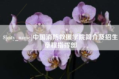 东阳中国消防救援学院简介及招生章程指挥部