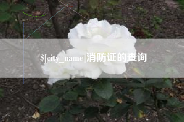 东阳消防证的查询