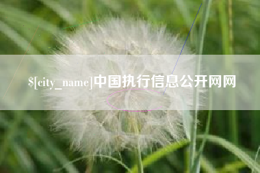 东阳中国执行信息公开网网