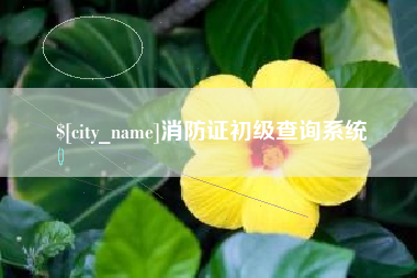 东阳消防证初级查询系统