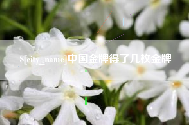东阳中国金牌得了几枚金牌