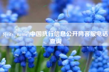 东阳中国执行信息公开网客服电话查询
