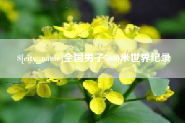 东阳全国男子5000米世界纪录
