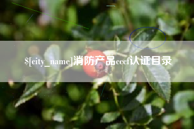 东阳消防产品cccf认证目录