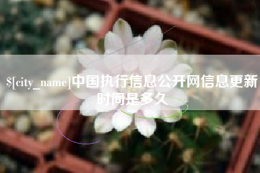 东阳中国执行信息公开网信息更新时间是多久