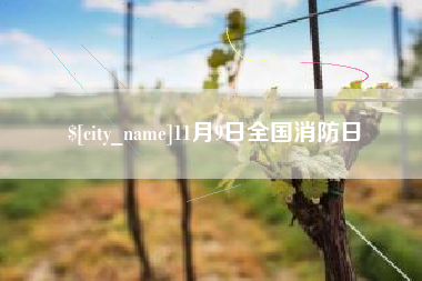 东阳11月9日全国消防日