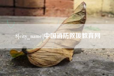 东阳中国消防救援教育网