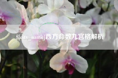 东阳西方命数九宫格解析