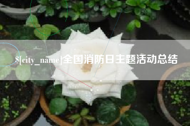 东阳全国消防日主题活动总结