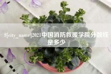 东阳2021中国消防救援学院分数线是多少