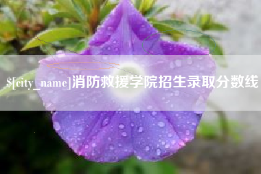 东阳消防救援学院招生录取分数线