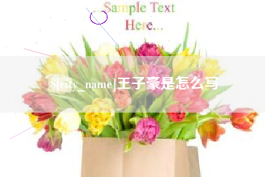 东阳王子豪是怎么写