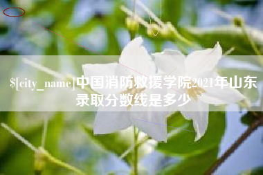 东阳中国消防救援学院2021年山东录取分数线是多少