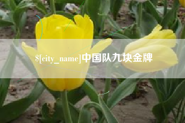 东阳中国队九块金牌