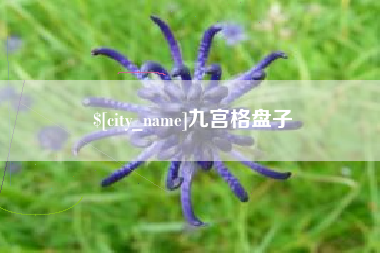 东阳九宫格盘子