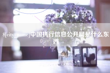 东阳中国执行信息公开网是什么东西