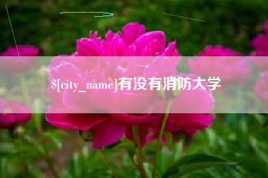 东阳有没有消防大学
