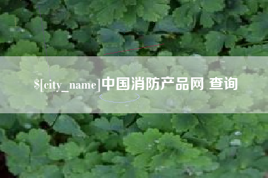 东阳中国消防产品网 查询