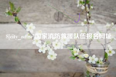 东阳国家消防救援队伍报名网址