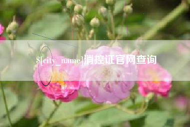 东阳消控证官网查询