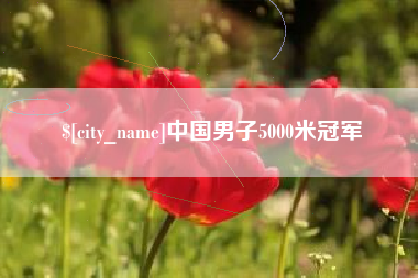 东阳中国男子5000米冠军