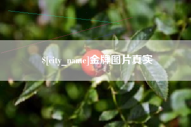 东阳金牌图片真实