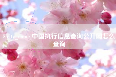 东阳中国执行信息查询公开网怎么查询