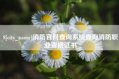 东阳消防官网查询系统查询消防职业资格证书