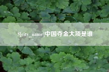 东阳中国夺金大项是谁