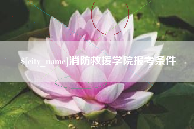 东阳消防救援学院报考条件