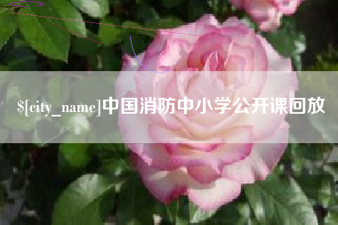 东阳中国消防中小学公开课回放