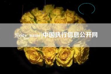 东阳中国执行信息公开网