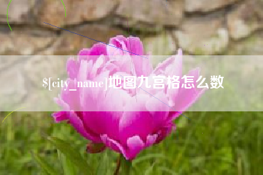东阳地图九宫格怎么数