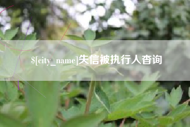 东阳失信被执行人杳询