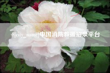 东阳中国消防救援招录平台