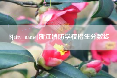 东阳浙江消防学校招生分数线