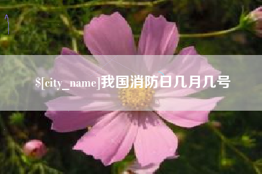 东阳我国消防日几月几号