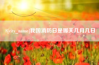 东阳我国消防日是哪天几月几日