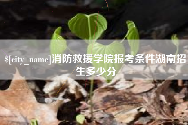 东阳消防救援学院报考条件湖南招生多少分