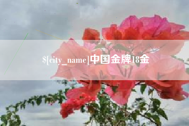 东阳中国金牌18金