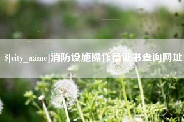 东阳消防设施操作员证书查询网址