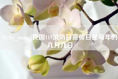 东阳我国119消防日宣传日是每年的几月几日