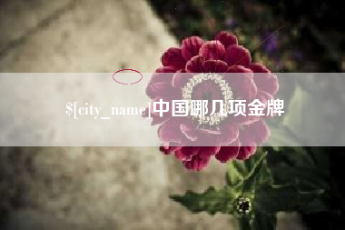 东阳中国哪几项金牌