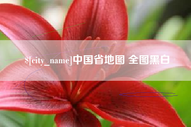 东阳中国省地图 全图黑白