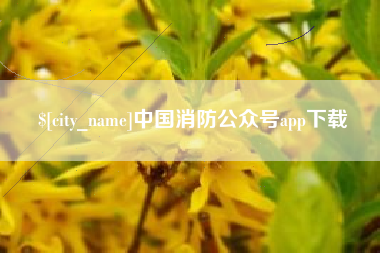 东阳中国消防公众号app下载